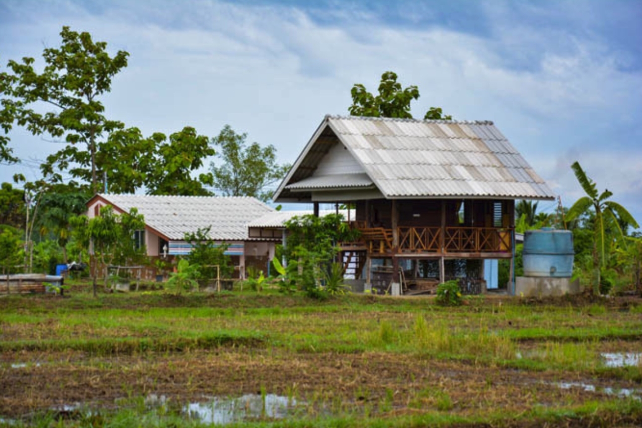 Xnip2566-11-14_16-01-29.jpg - Ban Nam Cham Chiang Mai | https://mapleworld.org