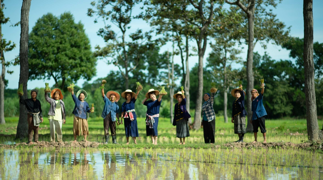 IMG_3502.jpeg - Nathon Cultural Tourism Community Nakhon Phanom | https://mapleworld.org