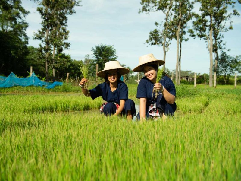 IMG_3506.jpeg - Nathon Cultural Tourism Community Nakhon Phanom | https://mapleworld.org