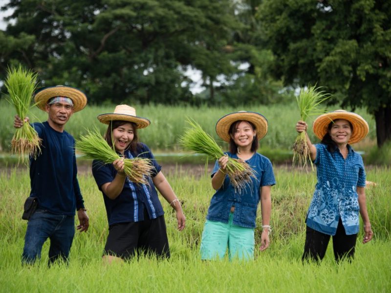 IMG_3525.jpeg - Ban Khok Muang Community Buriram | https://mapleworld.org