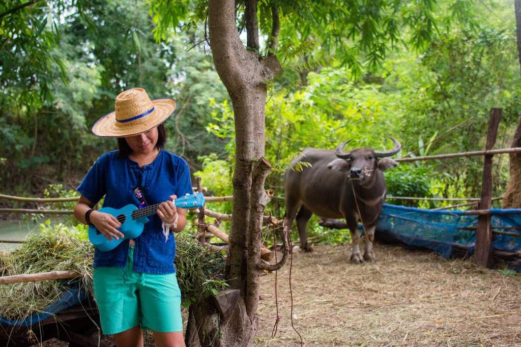 IMG_3545.jpeg - Ban Khok Muang Community Buriram | https://mapleworld.org